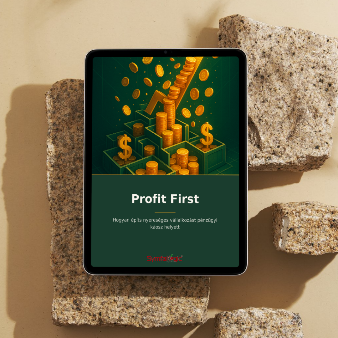 Profit First : Hogyan építs nyereséges vállalkozást pénzügyi káosz helyett eBook