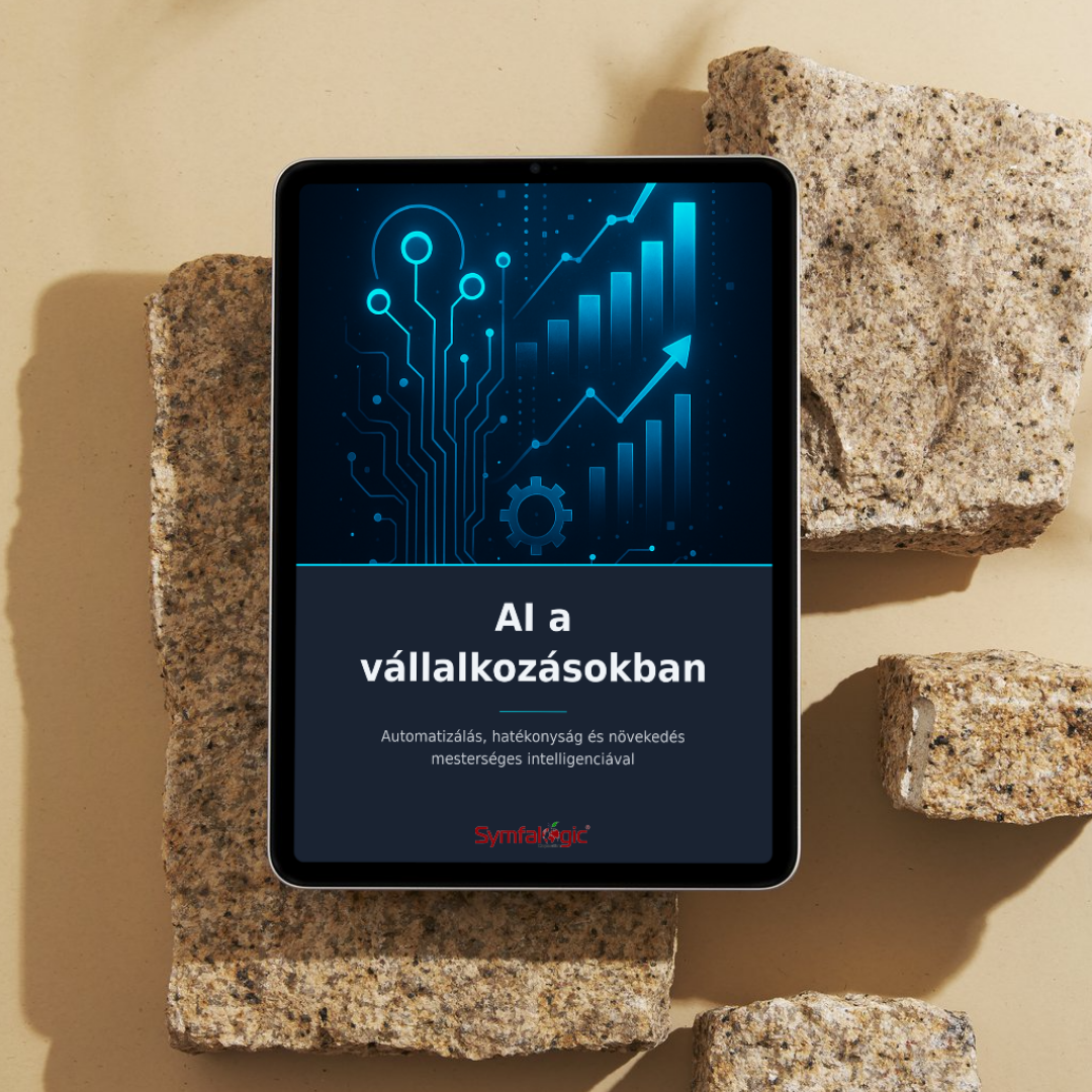 AI a vállalkozásokban : Automatizálás, hatékonyság és növekedés mesterséges intelligenciával eBook