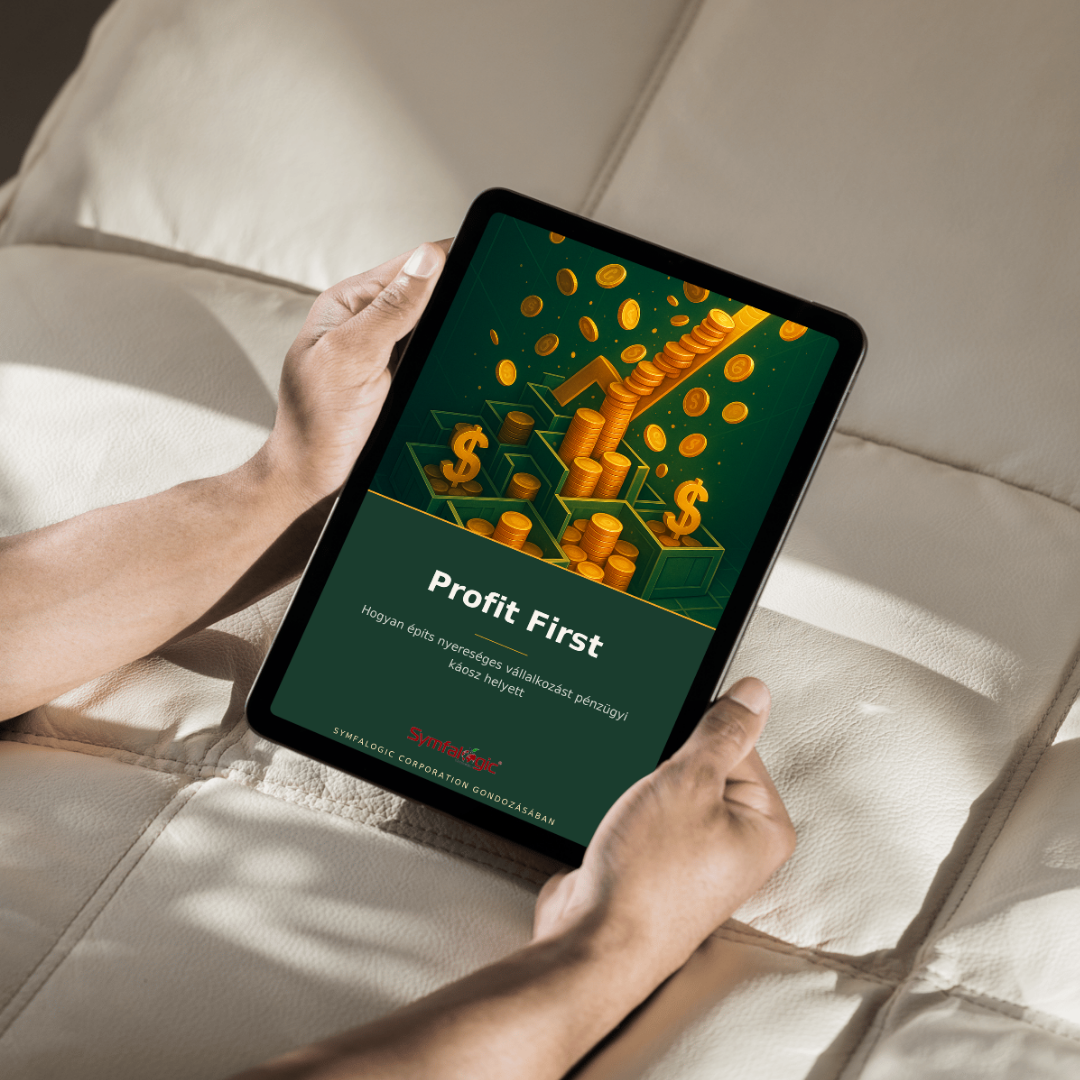 Profit First : Hogyan építs nyereséges vállalkozást pénzügyi káosz helyett eBook