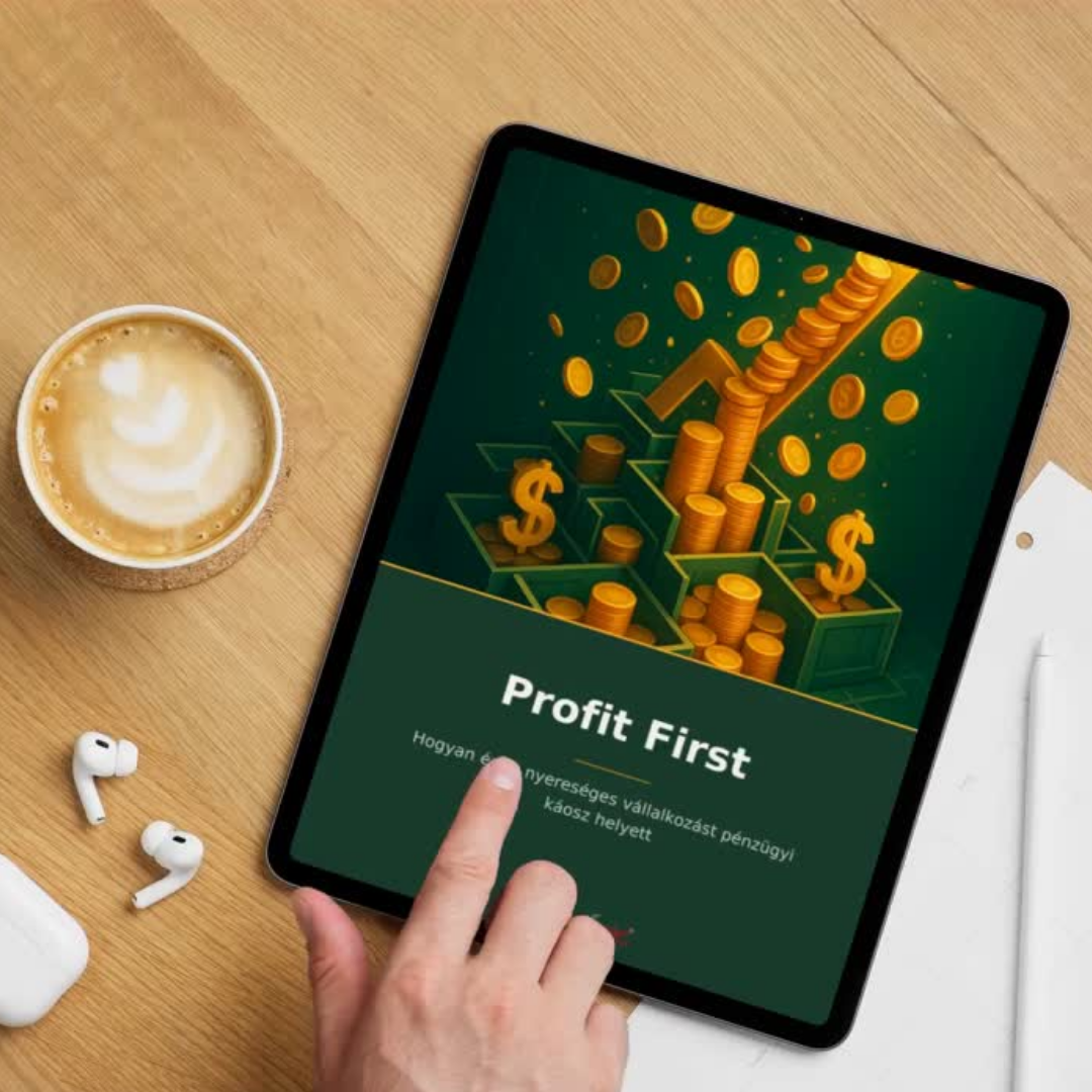 Profit First : Hogyan építs nyereséges vállalkozást pénzügyi káosz helyett eBook