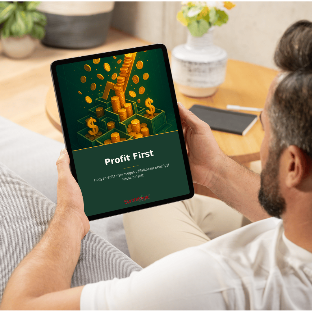 Profit First : Hogyan építs nyereséges vállalkozást pénzügyi káosz helyett eBook