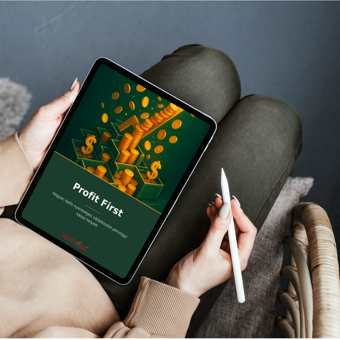 Profit First : Hogyan építs nyereséges vállalkozást pénzügyi káosz helyett eBook