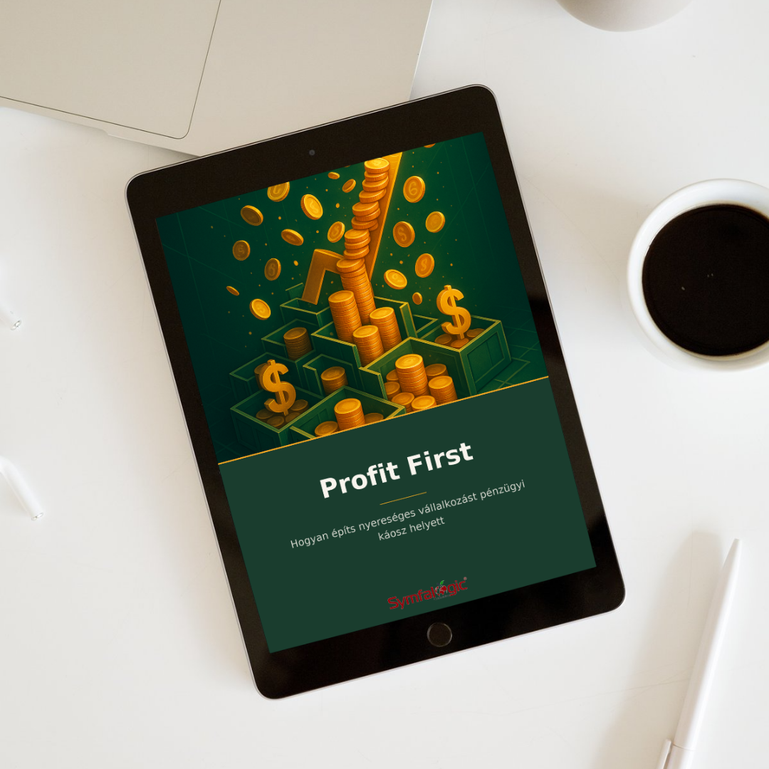 Profit First : Hogyan építs nyereséges vállalkozást pénzügyi káosz helyett eBook