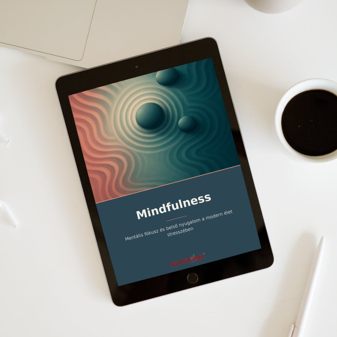 Mindfulness : Mentális fókusz és belső nyugalom a modern élet stresszében eBook