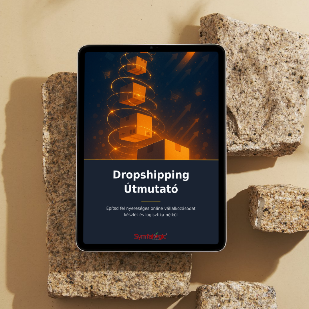 Dropshipping Útmutató : Online vállalkozás készlet és logisztika nélkül eBook