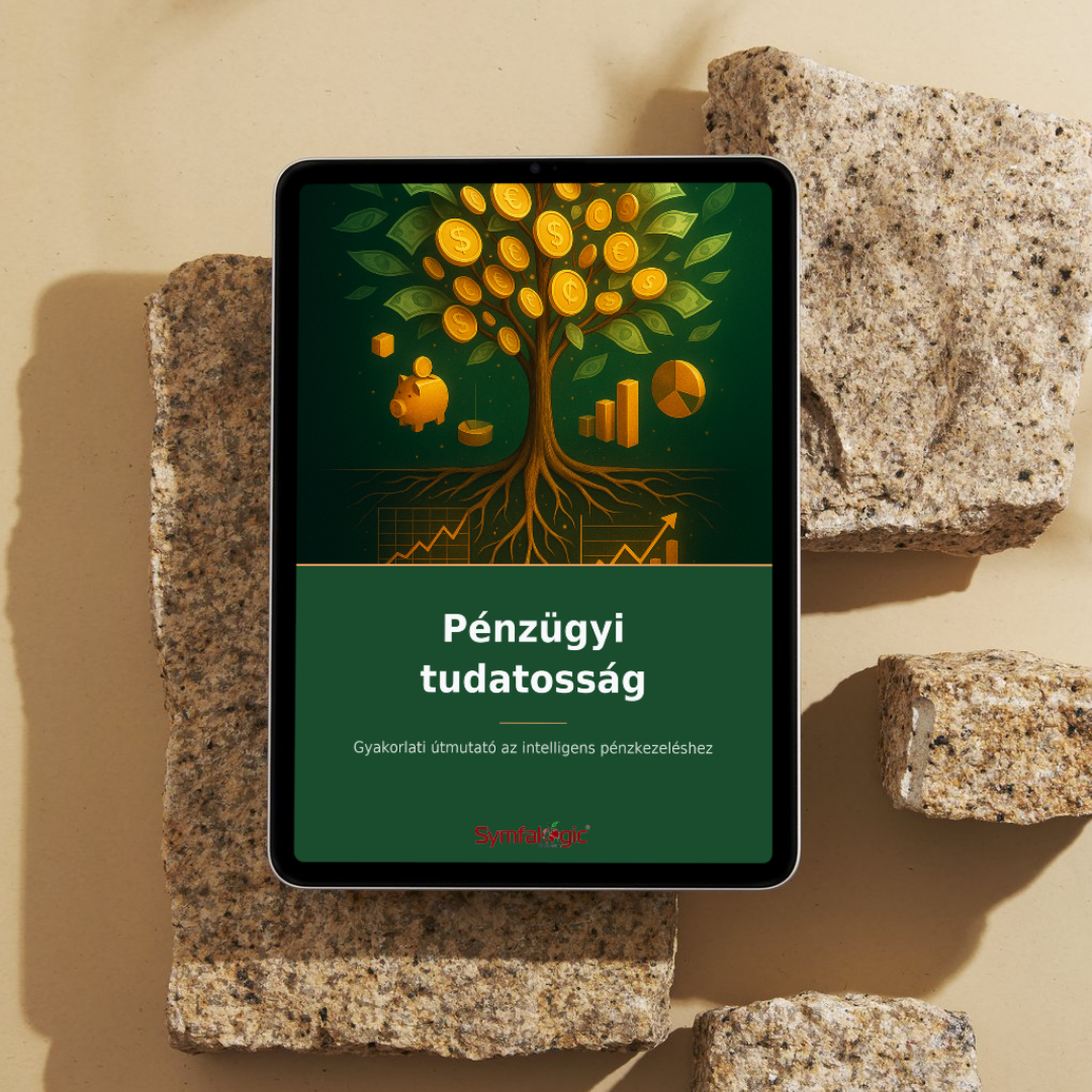 Pénzügyi tudatosság : Gyakorlati útmutató az intelligens pénzkezeléshez eBook