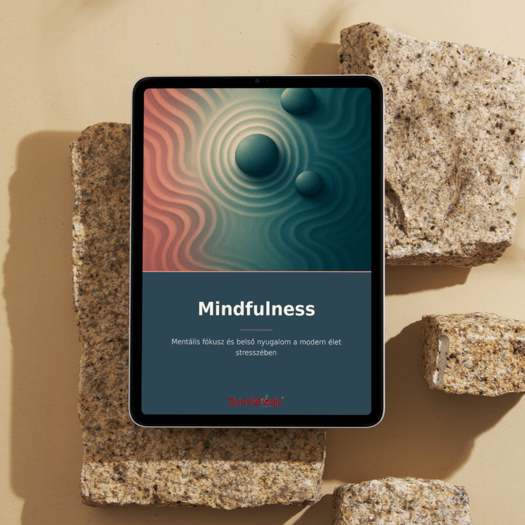 Mindfulness : Mentális fókusz és belső nyugalom a modern élet stresszében eBook