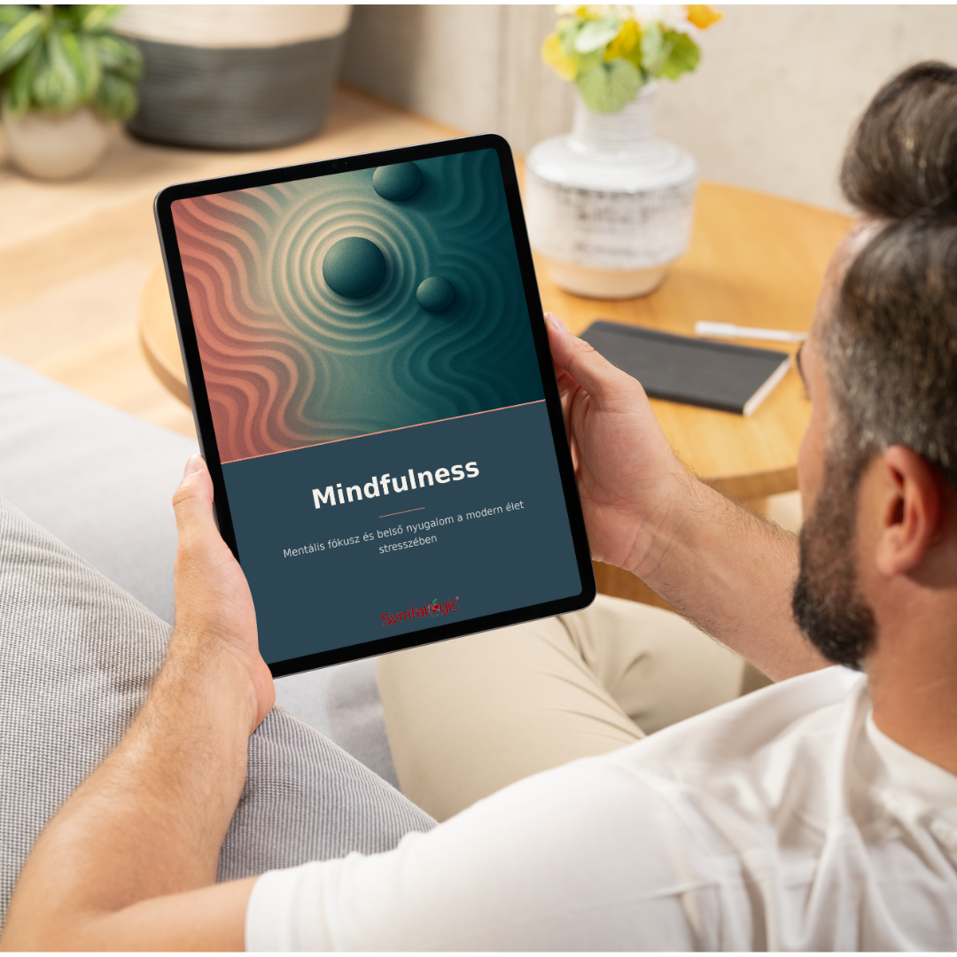 Mindfulness : Mentális fókusz és belső nyugalom a modern élet stresszében eBook