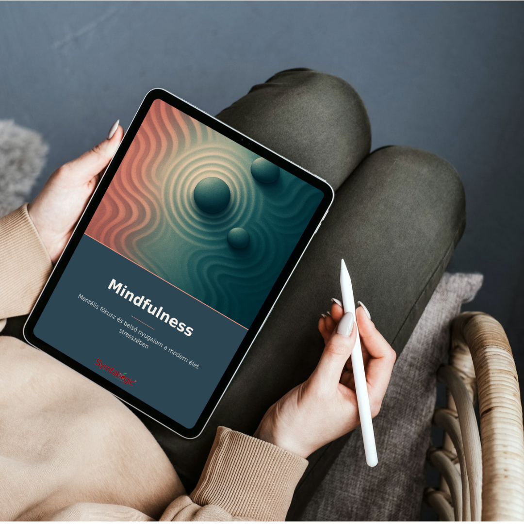 Mindfulness : Mentális fókusz és belső nyugalom a modern élet stresszében eBook